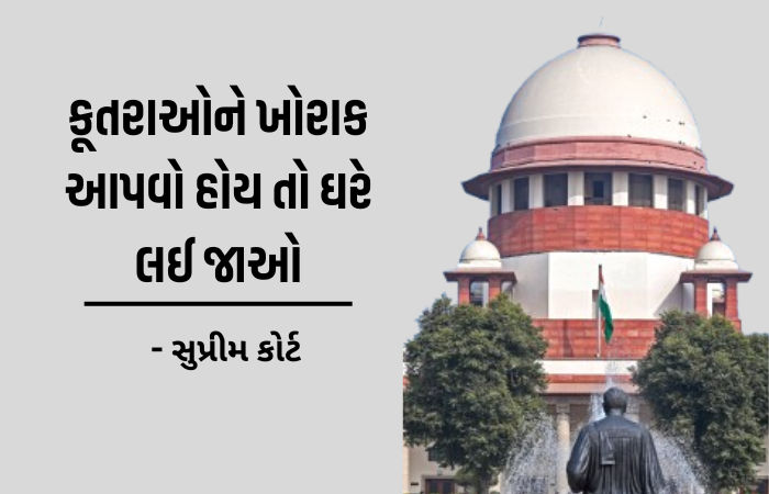 કૂતરું કરડવાના દરેક કિસ્સામાં સરકારે વળતર આપવું પડે તેવો આદેશ આપીશું: સુપ્રીમ કોર્ટ લાલઘૂમ