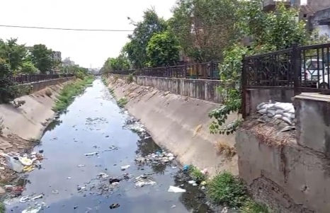 Ghodasar’s Kharikat Canal area grapples with mosquito menace, foul odour