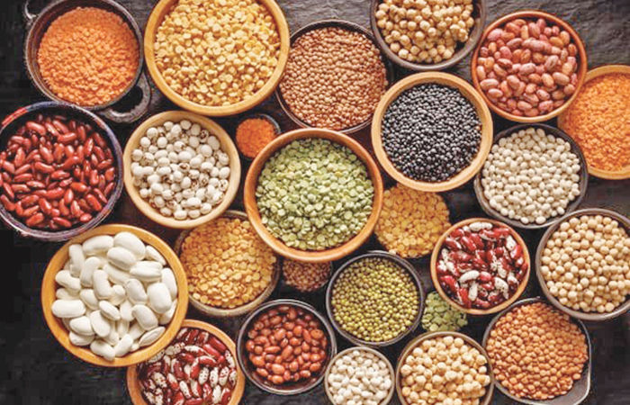 કઠોળ તથા તેલીબીયાંના ઉત્પાદનમાં વૃદ્ધિ છતાં આયાત પર આધાર વધ્યો