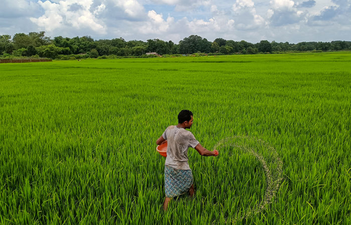 ઇથેનોલના કારણે ખેડૂતો સમૃદ્ધ થતા હોવાના દાવા ભ્રામક, પાકની ઝડપી ચૂકવણી સિવાય એક રૂપિયાનો ફાયદો નથી