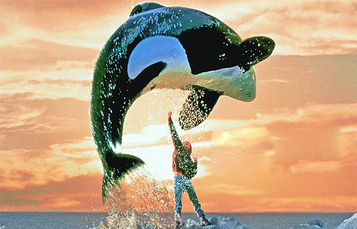 The Boy Who Helped a Whale Fly