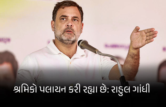 ચૂલો સળગાવવાના પૈસા નથી, ફરી કોવિડ જેવી સ્થિતિ: LPG સંકટ મુદ્દે રાહુલ ગાંધીએ સરકારને ઘેરી