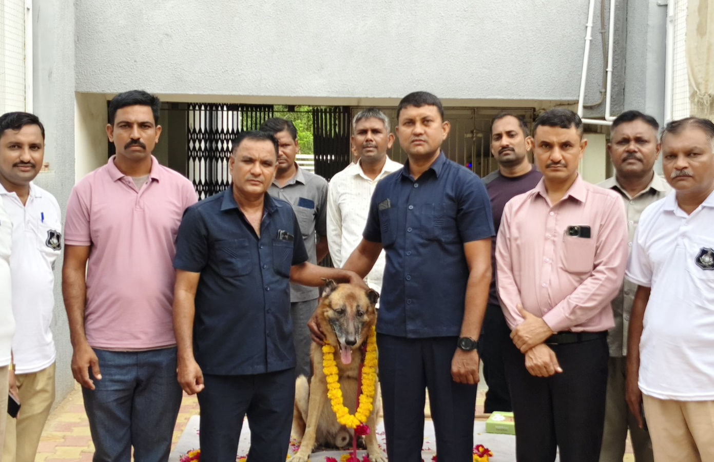 Sniffer dog 'Rocky' given heartfelt farewell by Gujarat Police