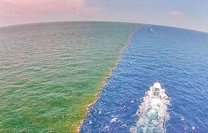 પૃથ્વી પરના મહાસાગરો