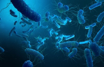 Typhoid outbreak worsens in Gandhinagar, patient count crosses 200