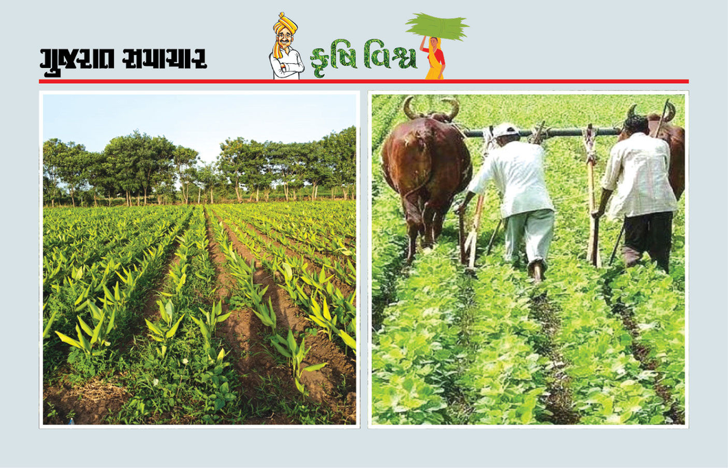 કાર્બન ક્રેડિટ દ્વારા ખેતી ટકાઉ-સુરક્ષિત બનશે, પ્રકૃતિનું સંરક્ષણ થશે અને પૂરક આવક પણ મળતી થશે