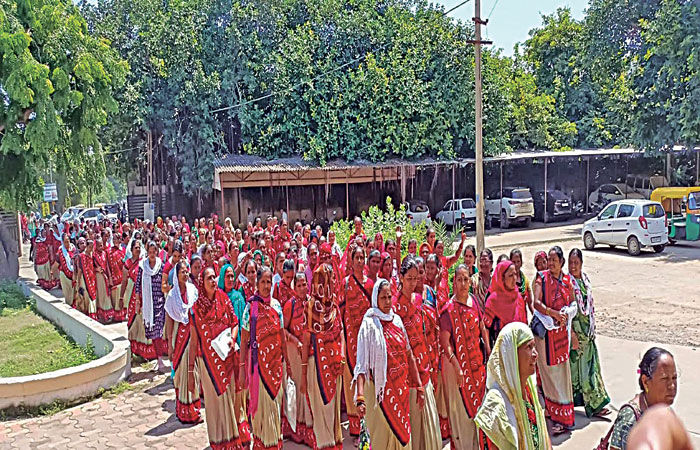 જિલ્લાની 2000થી વધુ આશાવર્કર દ્વારા રેલી યોજીને કલેક્ટર, ડીડીઓને આવેદન