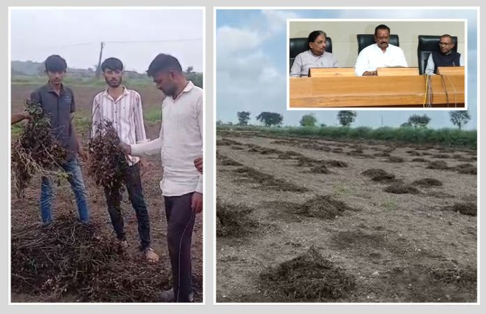 સહાય પેકેજ: પાક નુકસાન સામે ખેડૂતોને પ્રતિ હેક્ટર રૂ.22,000 મળશે, જાણો વધુમાં વધુ કેટલું વળતર મળશે
