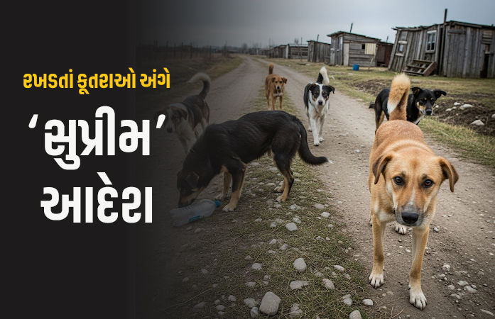 દિલ્હીના તમામ રખડતાં કૂતરાઓને પકડી શેલ્ટર હોમમાં રાખો: સુપ્રીમ કોર્ટનો કડક આદેશ