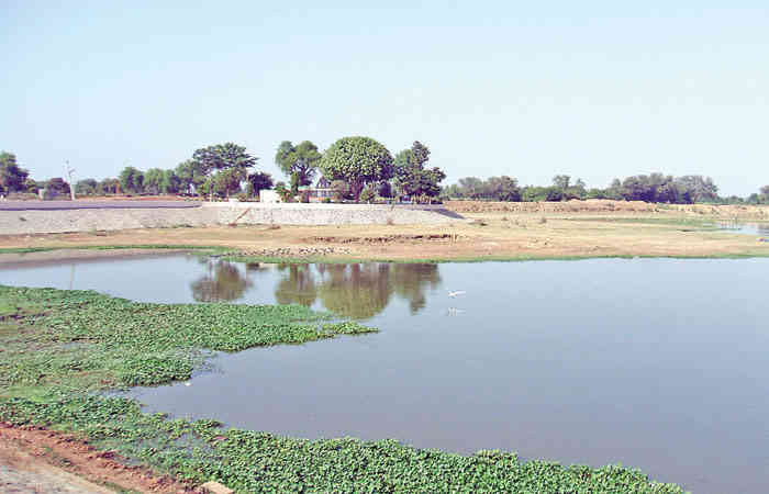 આણંદ જિલ્લામાં તળાવ આધારિત નાની સિંચાઇ યોજનાનો અભાવ