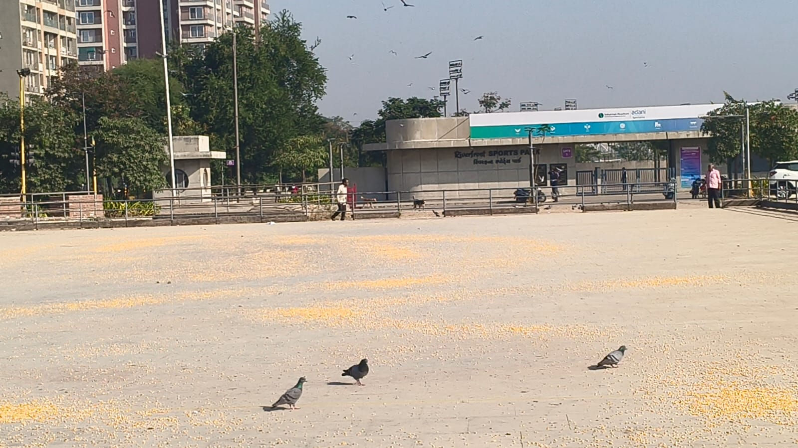 કોમનવેલ્થ-૨૦૩૦ના યજમાન અમદાવાદના શાહપુર સ્પોર્ટસ કોમ્પલેકસનો કબૂતરોને દાણાં ખવડાવા થતો ઉપયોગ