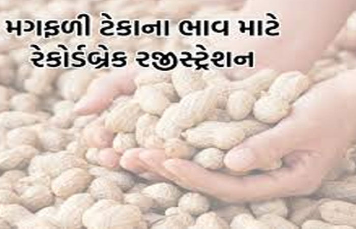ખેડૂતોની સંખ્યા ડબલ થઈ જતાં 200ને બદલે 70 મણ ખરીદીના નિર્ણયનો વિરોધ