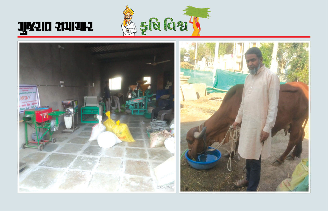 માત્ર 4 વીઘામાં ખેડૂતે ખેતી અને મૂલ્યવર્ધન દ્વારા રૂપિયા 7 લાખની આવક મેળવી
