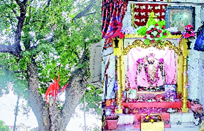 યાત્રાધામ ડાકોરના રણછોડજી મંદિરમાં આજે દેવદિવાળીનો ઉત્સવ ઉજવાશે