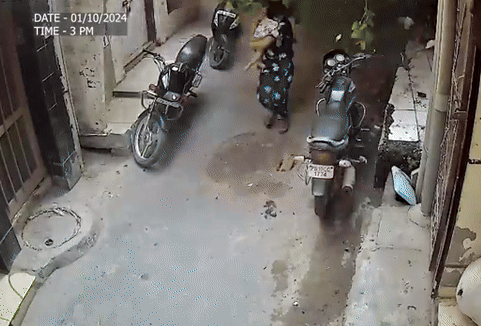 VIDEO | 100 વર્ષ જૂની ઇમારત ધરાશાયી, લોકો જીવ બચાવવા દોડ્યા, ડરામણા દૃશ્ય કેમેરામાં કેદ