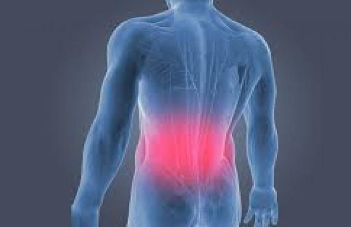 Cut down sedentary time, do walk, brisk exercise to prevent back pain: Study