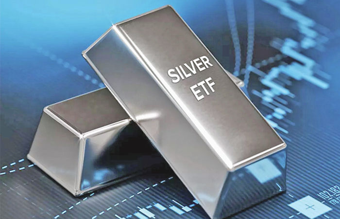 ચાંદીના ETFમાં એક સાથે ખરીદી ન કરવાની સલાહ