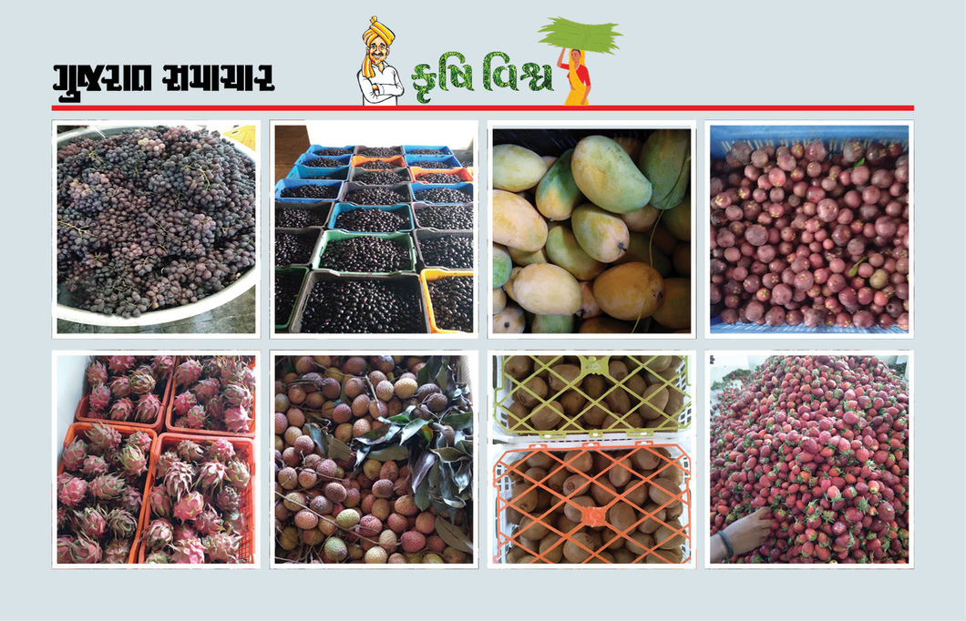 ફળાઉ પાકોની ખેતી અને મૂલ્યવર્ધન : રાષ્ટ્રીય કક્ષાએ ખ્યાતિ સાથે આર્થિક સમૃદ્ધિ