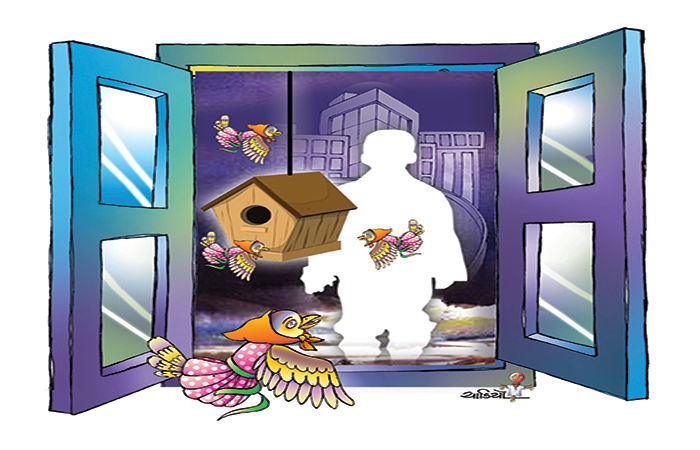 રાજુનું પક્ષીઘર                             .
