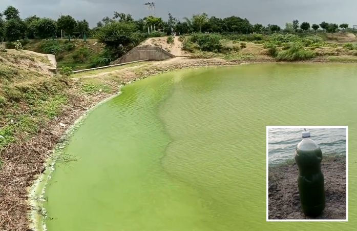 અમરેલીના મોટા લીલિયાના નિલકંઠ સરોવરનું પાણી અચાનક લીલું થઈ ગયું, કેમિકલ ઠાલવ્યાની આશંકા