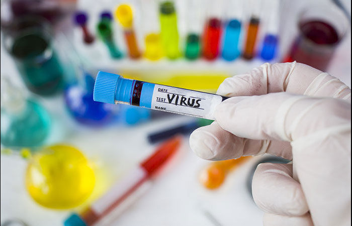 Suspected Chandipura virus cases in Gujarat climb to 58, death toll 20