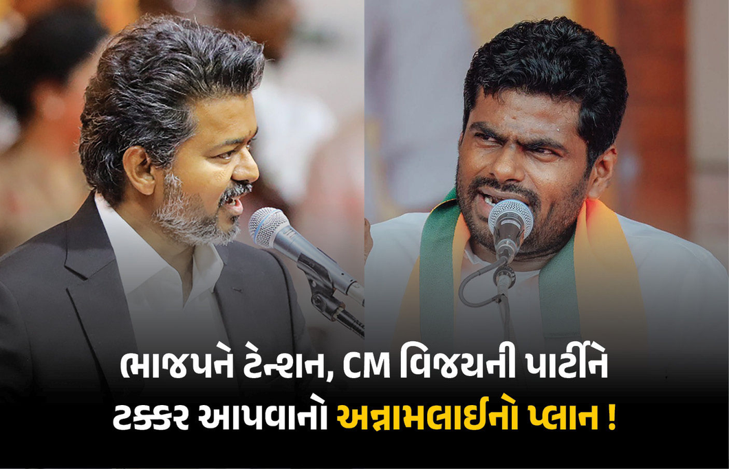 ભાજપને ભારે પડશે અન્નામલાઈની નારાજગી? તમિલનાડુના રાજકારણમાં મોટા ફેરબદલના સંકેત