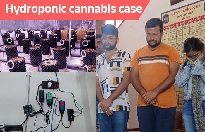 Update: Three held for cultivating hydroponic cannabis in Ahmedabad