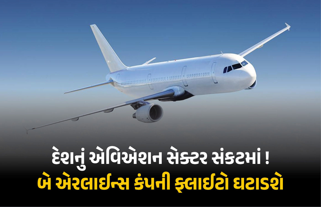 એર ઈન્ડિયાની ડોમેસ્ટિક ફ્લાઈટ્સમાં 22% અને ઈન્ડિગોની 7 સુધીનો ઘટાડો કરવાની જાહેરાત