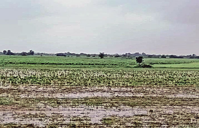 માંડલ પંથકમાં 5, 7 દિવસના વરસાદી માહોલ બાદ મેઘરાજાએ વિરામ લીધો