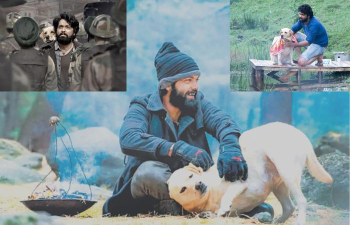 777 Charlie movie review: કળયુગના ‘ધર્મરાજ’ની આ ફિલ્મ માત્ર એક ફિલ્મ નહી પરંતૂ લાગણી છે