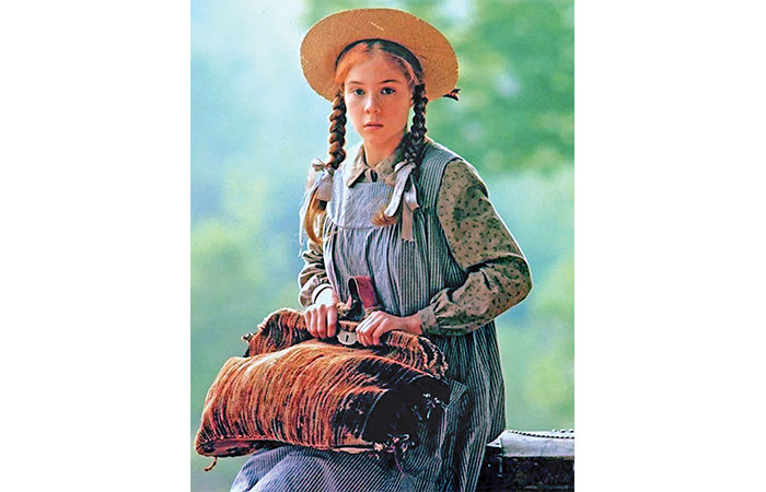 Anne of Green Gables : The Girl Who Painted Life with Imagination