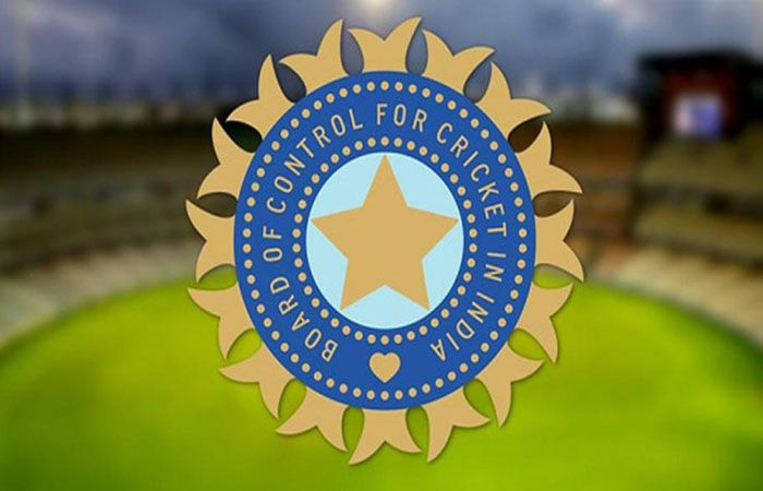 ટેસ્ટ ક્રિકેટ માટે BCCIએ અલગ કોચ રાખવાની જરૂર: IPL ટીમના માલિકની માગ, જુઓ શું કહ્યું