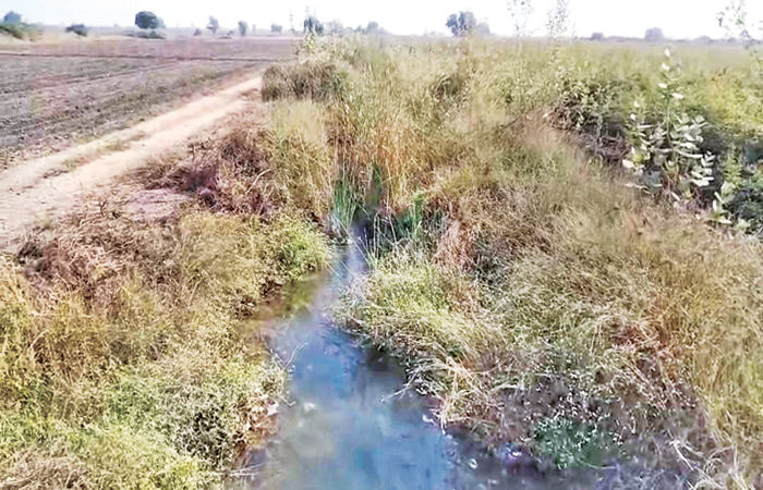 લખતરની વલ્લભીપુર શાખાની ડી-1 કેનાલની સફાઇ કરવાની ખેડૂતોની માગણી