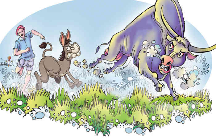 ડંફાસખોર ગધેડો                                         .