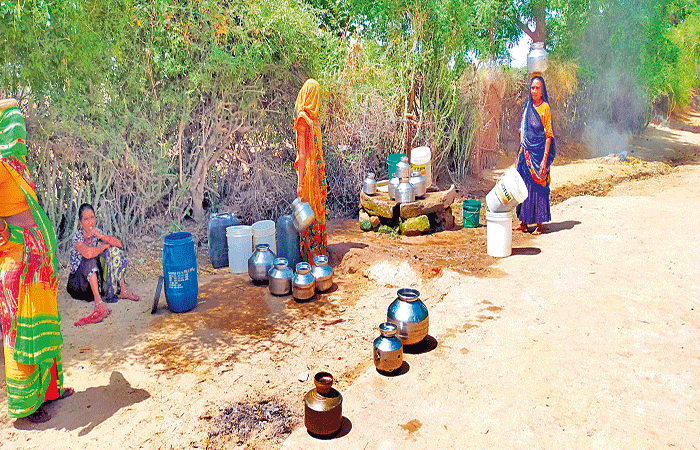 રાધનપુર: માત્ર એક બેડું પાણી ભરવા માટે મહિલાઓની 2 કિ.મી. સુધીની સફર