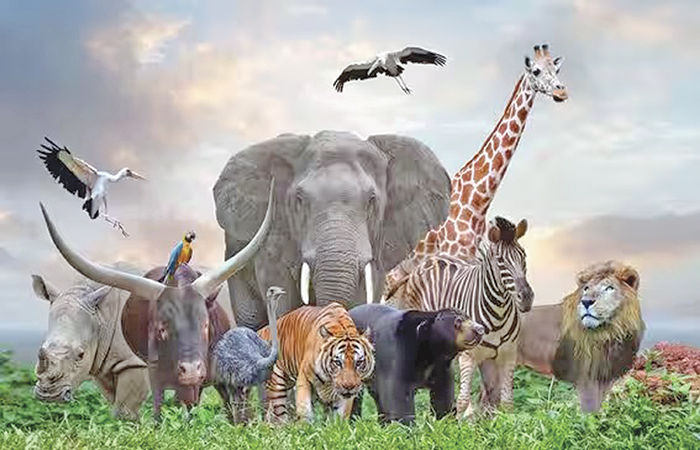 પ્રાણીઓની ચિત્ર-વિચિત્ર વાતો