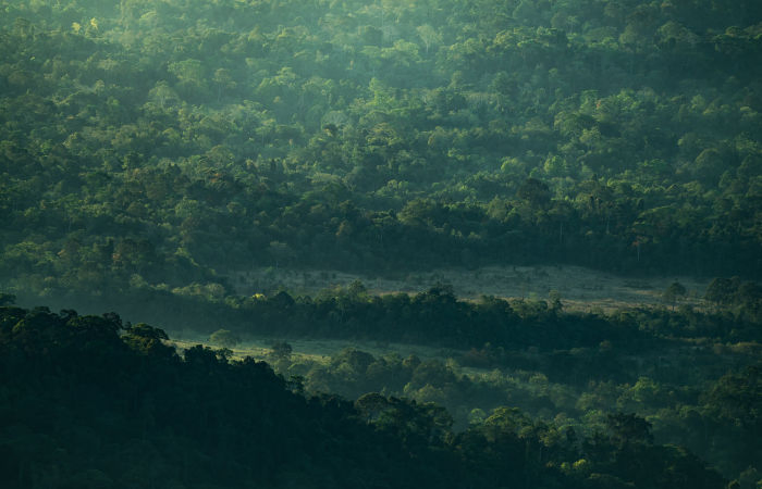 Riverfront expansion in Koteshwar faces NGT scrutiny over illegal tree felling