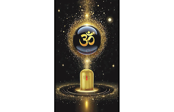 શંભુ શરણે પડી                                           .