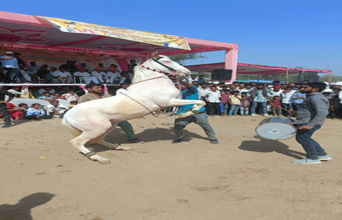 લાખણીના જસરામાં અશ્વોની કરતબો જોઈ લોકો મંત્રમુગ્ધ