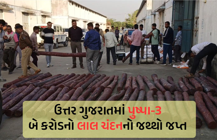 આંધ્રપ્રદેશની મહિલા સાથે લગ્ન કર્યા બાદ કરોડોના રક્ત ચંદનના લાકડાની દાણચોરીનો ઘડ્યો હતો પ્લાન
