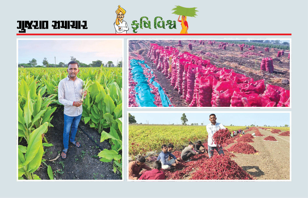 ખરીફ-રવીમાં પરંપરાગત પાક અને તેના મૂલ્યવર્ધન દ્વારા લાખો રૂપિયાની આવક