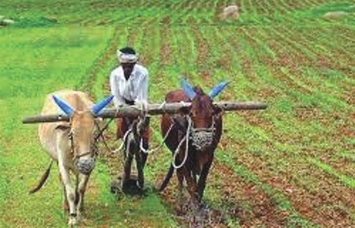 જાહેર હેતુ માટે જમીન સંપાદન અધિનિયમ, ૨૦૧૩. (Fair Compensation) ખેડૂતોના હિતમાં પારદર્શક કાર્યવાહી જરૂરી