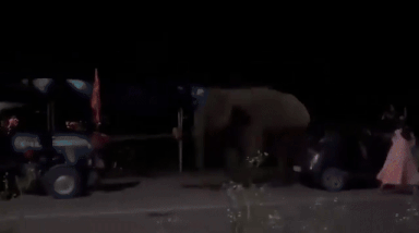 VIDEO: દહેરાદૂનમાં કાવડિયાઓ જમતા હતા અને હાથી ફરી વળ્યો, શિવભક્તોમાં નાસભાગ
