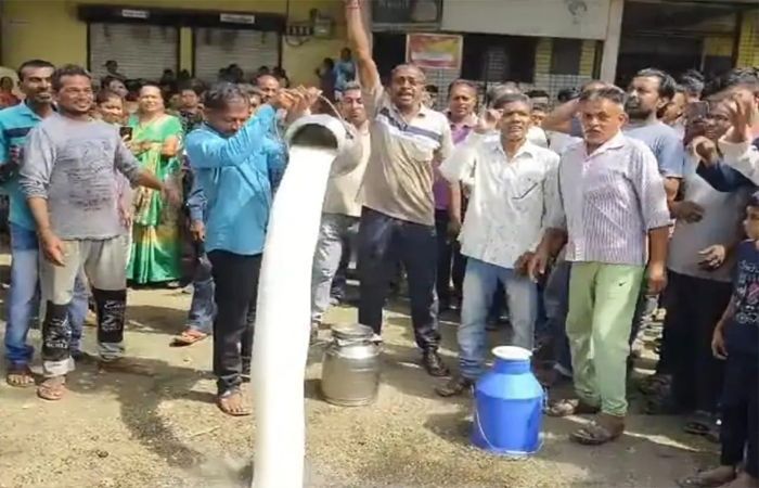 પારડીમાં મહિલા સંચાલીત દૂધ ઉત્પાદક સહકારી મંડળીમાં સભાસદોએ દૂધ ઢોળી ભારે વિરોધ કરી આક્રોશ ઠાલવ્યો