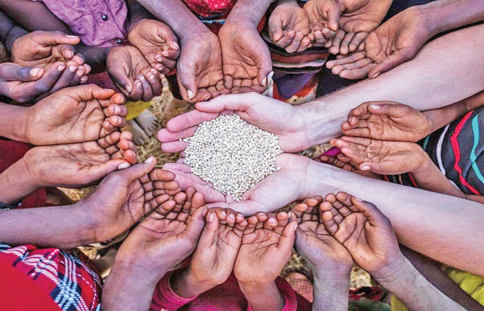 યુદ્ધને કારણે સંપૂર્ણ વિશ્વમાં અન્ન સલામતિ સામે ઊભું થયેલું જોખમ