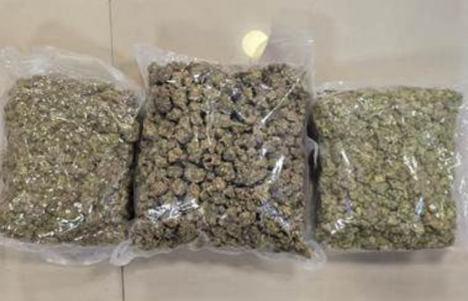 Mumbai airport Customs seize ₹32 cr hydroponic weed, gold worth ₹73 lakh also recovered from Bangkok fliers