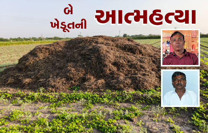 પાક નિષ્ફળ જતાં અરડોઈ અને રેવાણીયામાં બે ખેડૂતની આત્મહત્યા