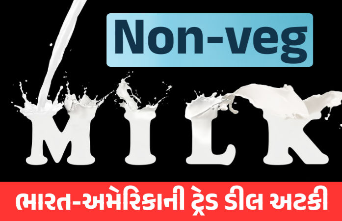 શું છે 'નૉનવેજ દૂધ'? જેના કારણે અટકી ભારત-અમેરિકાની ટ્રેડ ડીલ, જાણો વિગતવાર