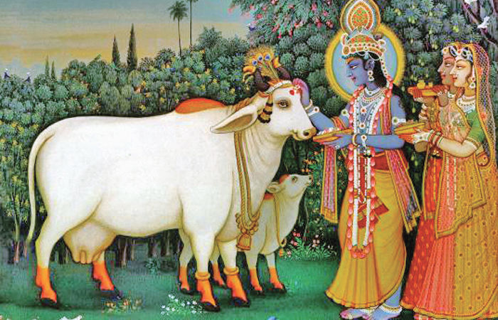 शकुन्यादिचतुष्कं तु रवेर्मलमुदाहृतम् । तदूर्ध्वं क्रमते भानोर्माक्षः स्तु मलिम्लुचः ॥