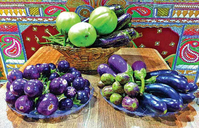 રાજાશાક રીંગણા આંતરરાષ્ટ્રીય ભોજનથાળના ઘરેણાં !